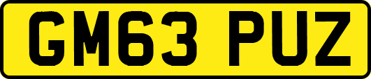 GM63PUZ