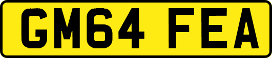 GM64FEA