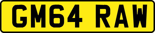 GM64RAW