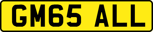 GM65ALL