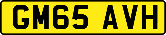 GM65AVH