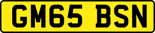 GM65BSN