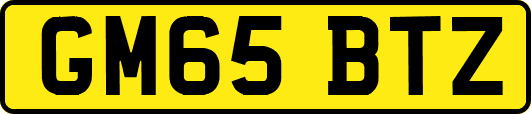 GM65BTZ