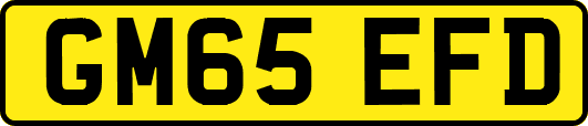 GM65EFD