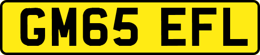 GM65EFL