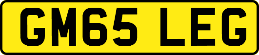 GM65LEG