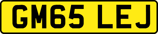 GM65LEJ