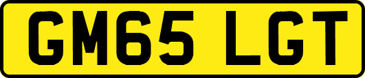 GM65LGT