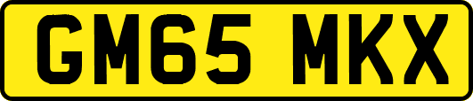 GM65MKX