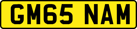 GM65NAM