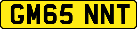 GM65NNT