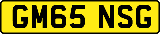 GM65NSG