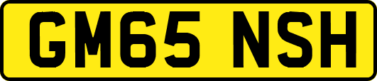 GM65NSH