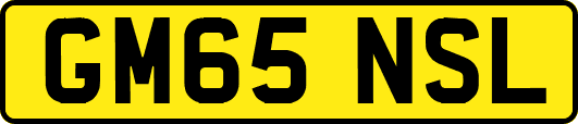 GM65NSL