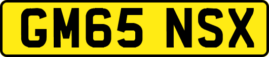 GM65NSX