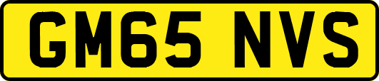 GM65NVS