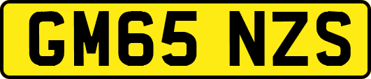 GM65NZS