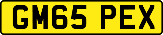 GM65PEX