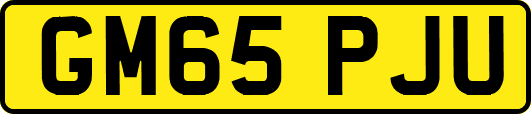 GM65PJU