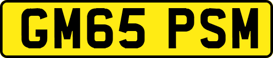 GM65PSM