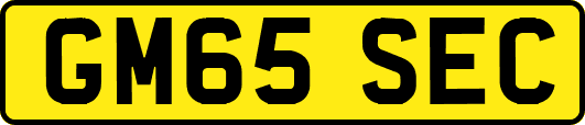 GM65SEC