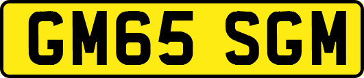 GM65SGM