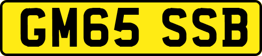 GM65SSB