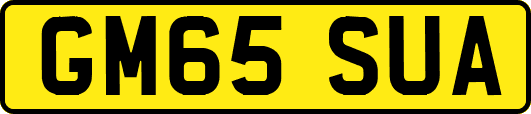 GM65SUA