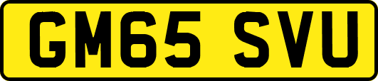 GM65SVU