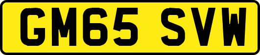 GM65SVW