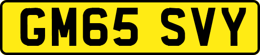 GM65SVY