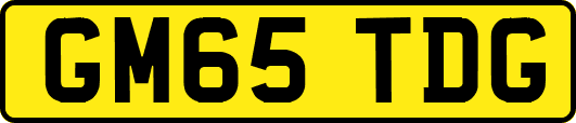GM65TDG