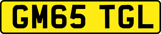 GM65TGL