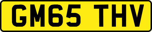 GM65THV
