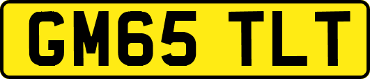 GM65TLT