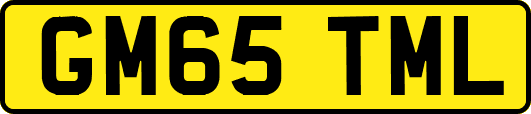 GM65TML