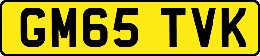 GM65TVK