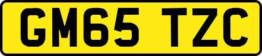 GM65TZC