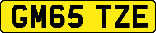 GM65TZE