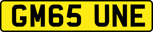 GM65UNE