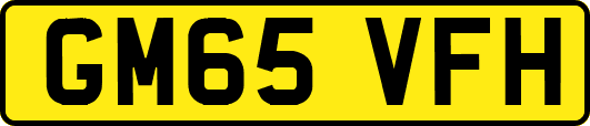 GM65VFH