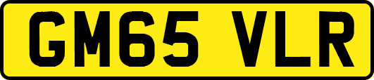 GM65VLR