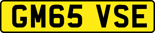 GM65VSE