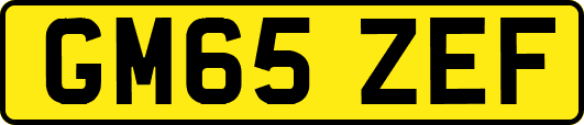 GM65ZEF