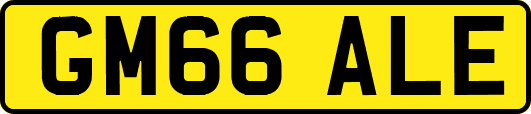 GM66ALE