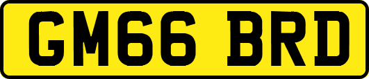 GM66BRD