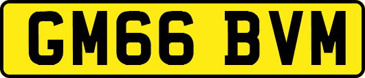 GM66BVM