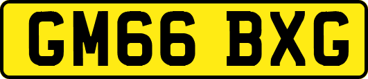 GM66BXG