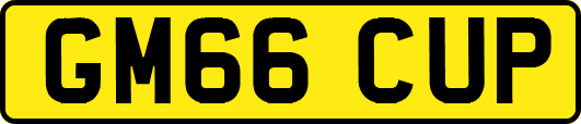 GM66CUP