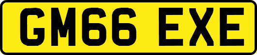 GM66EXE